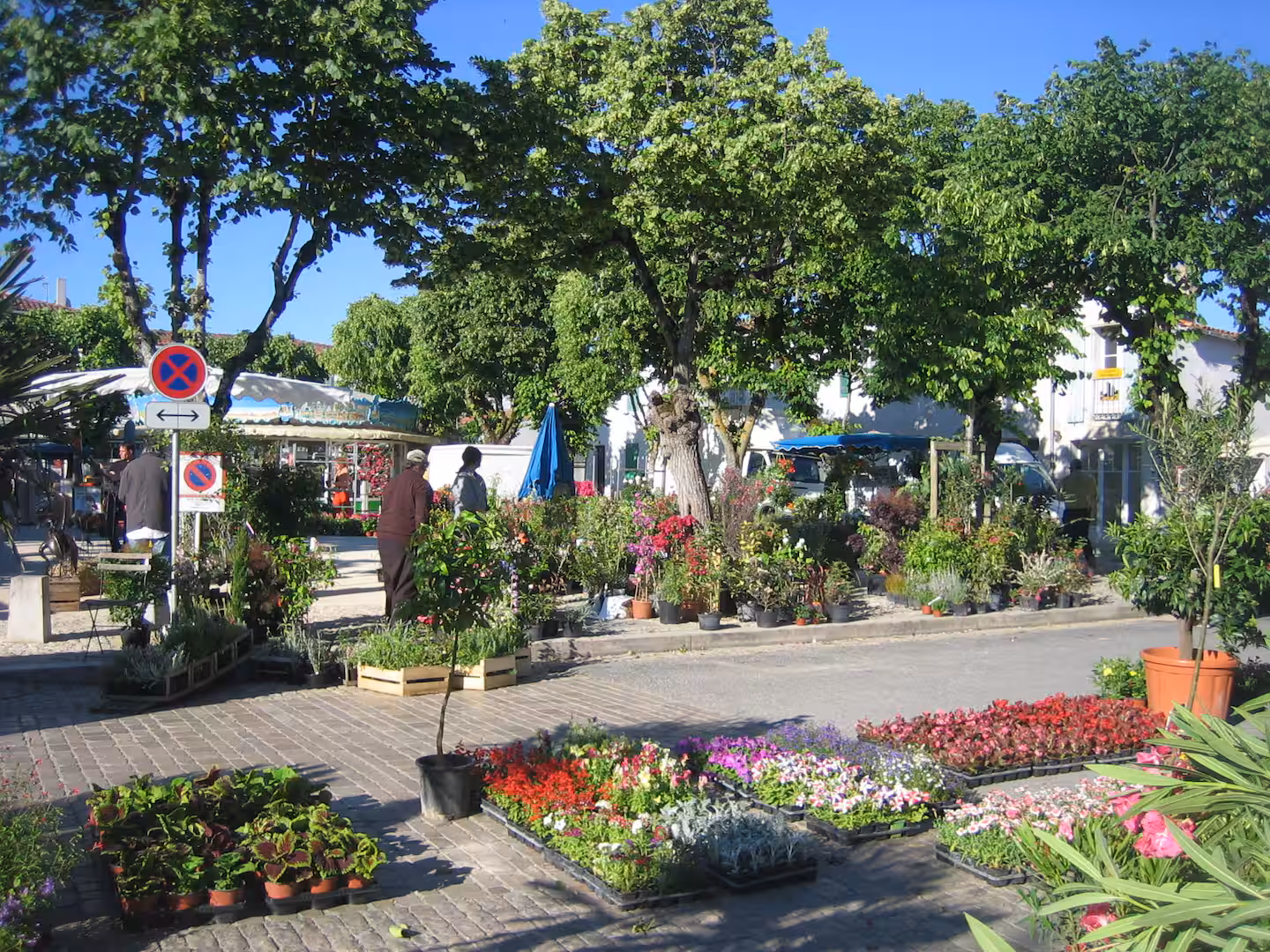 Local market on Île de Ré